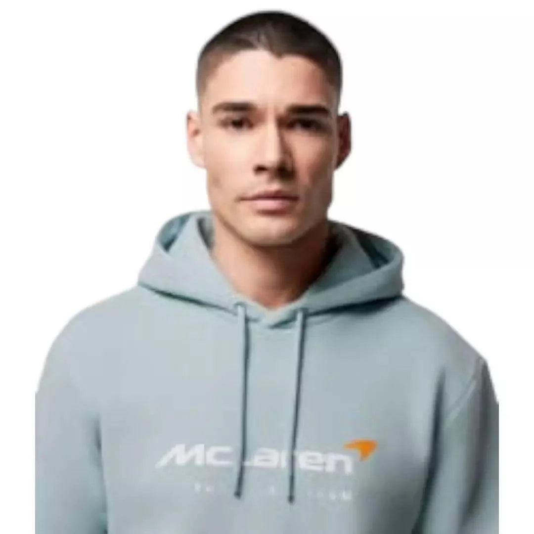 MENS TEAM CORE ESSENTIALS HOODIE - Dash Racegear