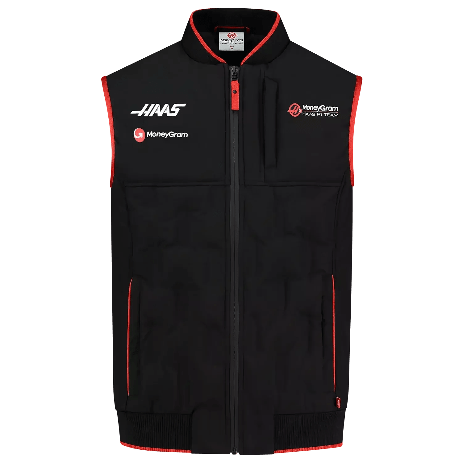  Haas F1 Team DASH RACEGEAR