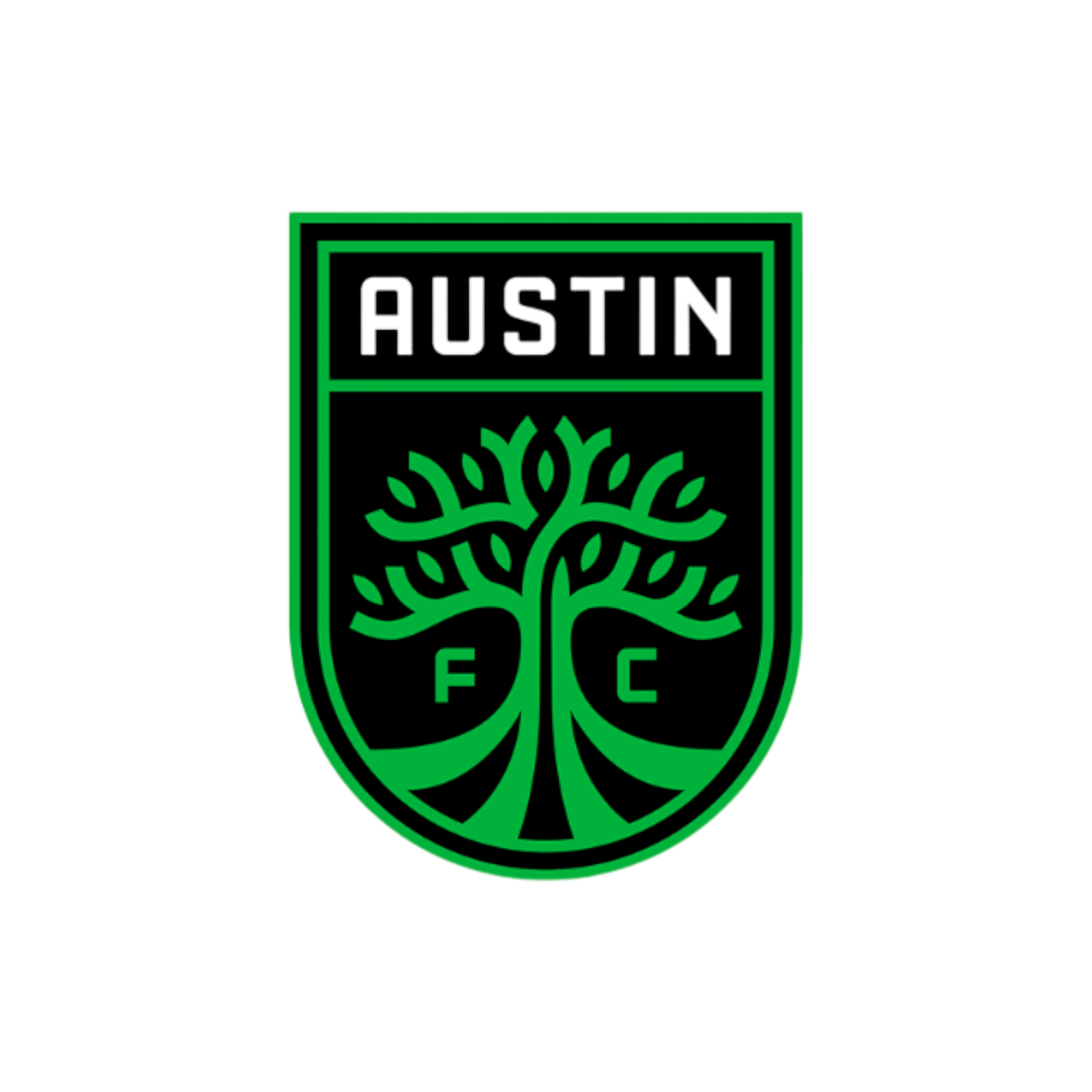 Austin FC Football Club Team