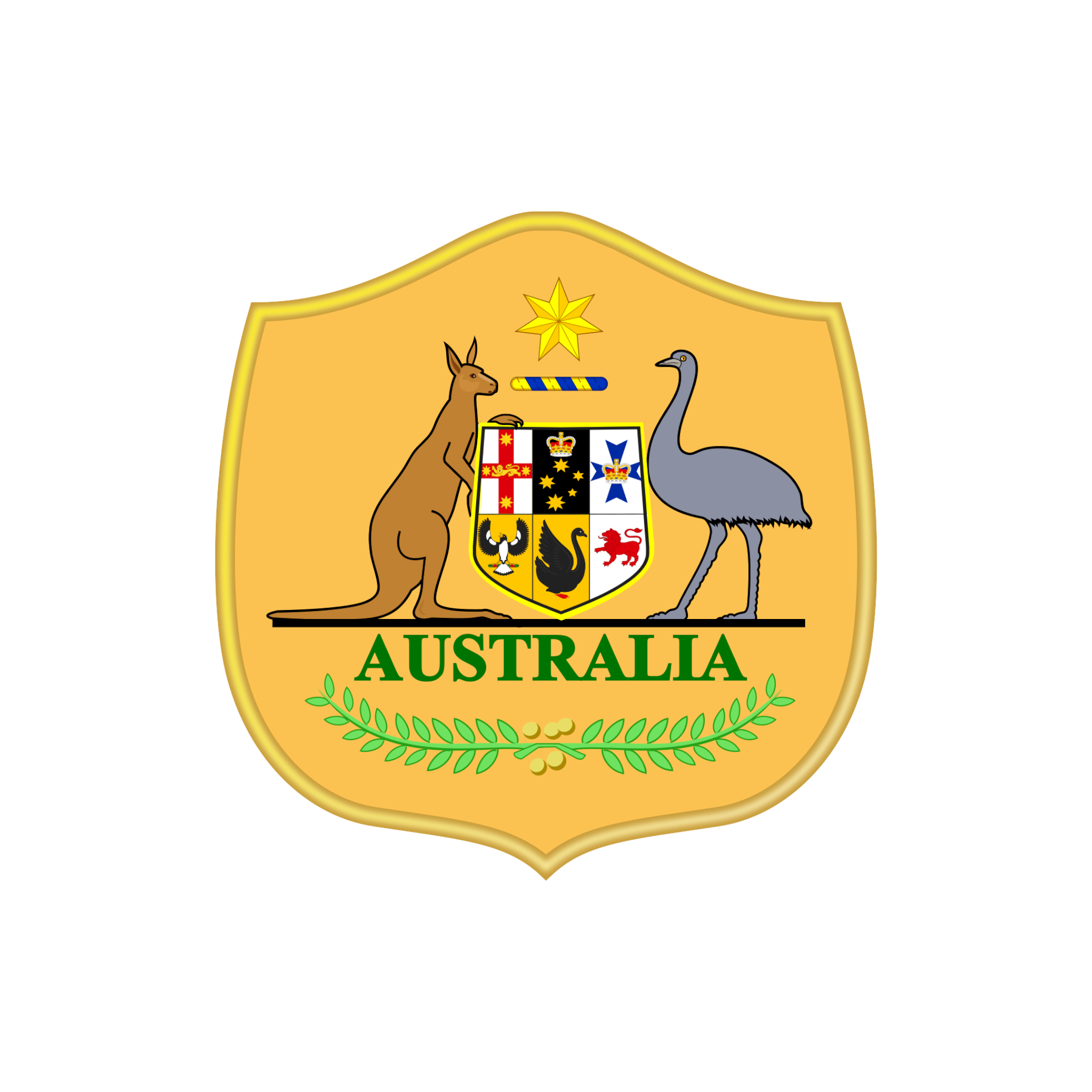 Australia National Football Club Team