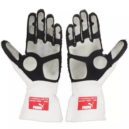 2010 Fernando Alonso F1 Race Gloves - Japanese GP - Dash Racegear