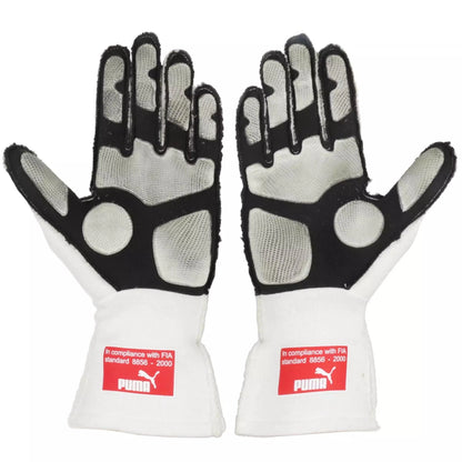 2010 Fernando Alonso F1 Race Gloves - Japanese GP - Dash Racegear