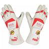 2010 Fernando Alonso F1 Race Gloves - Japanese GP - Dash Racewear