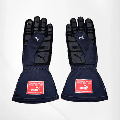 2018 Max Verstappen F1 Race Gloves - Dash Racegear