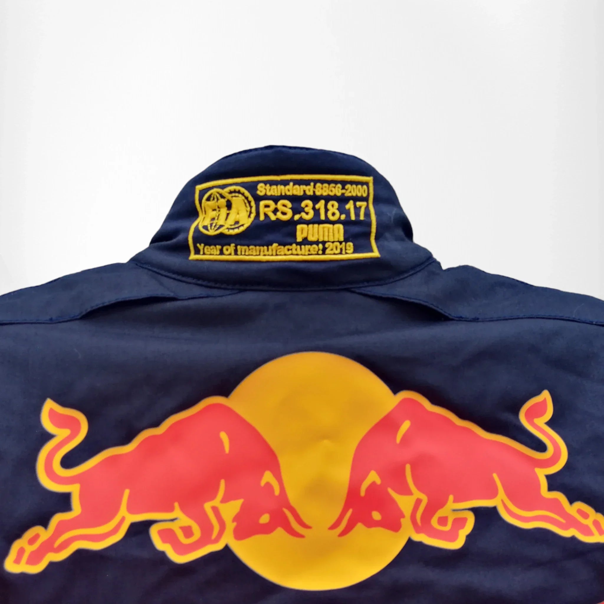 2019 Max Verstappen Formula 1 Race Suit - Dash Racegear