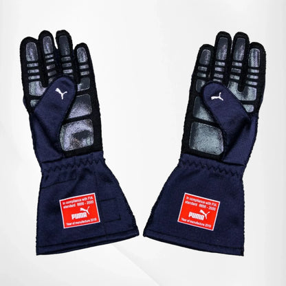 2019 Pierre Gasly F1 Race Gloves - Dash Racegear