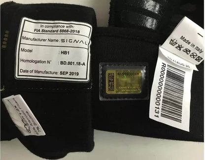 2020 RENAULT ESTEBAN OCON F1 RACE GLOVES - Dash Racegear