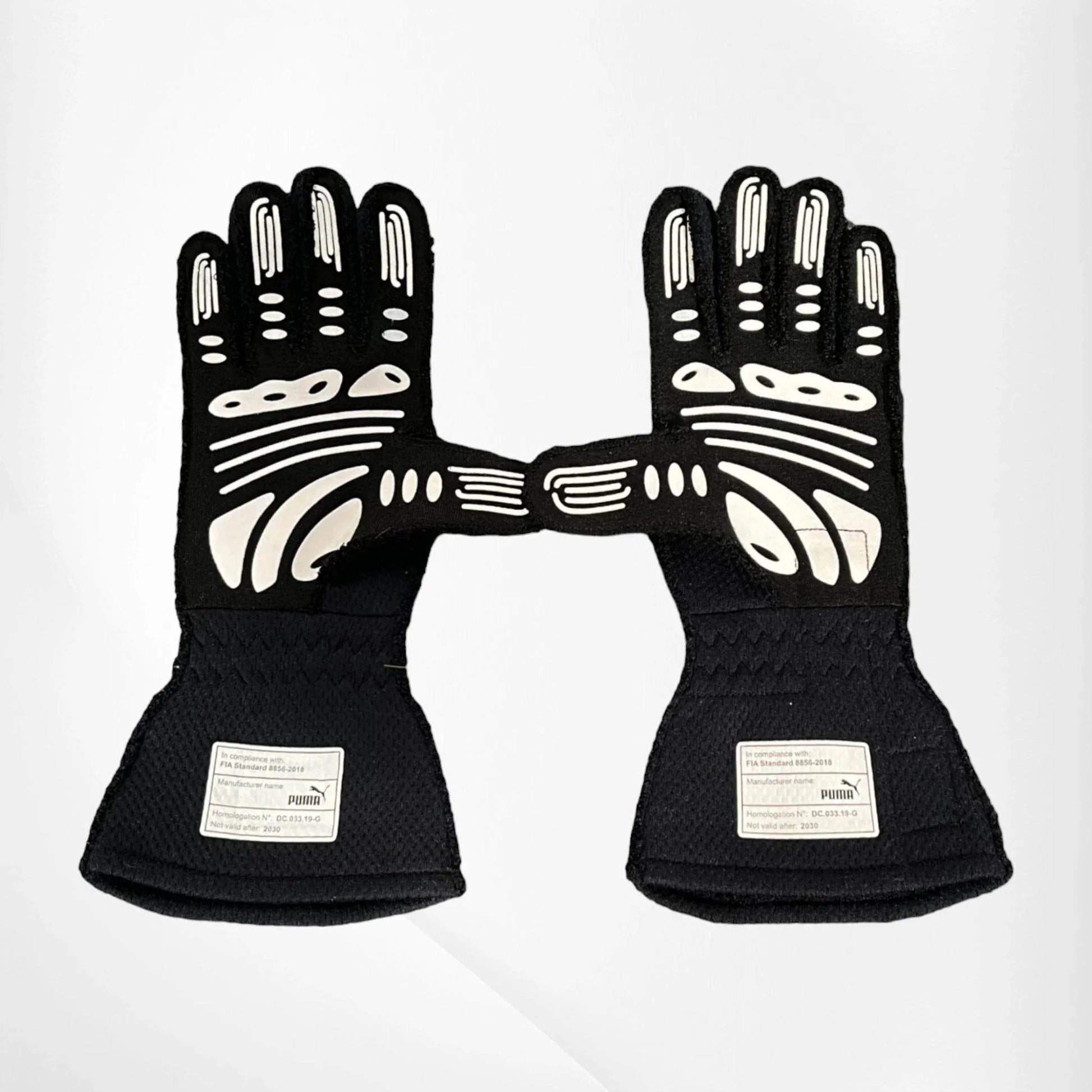 2020 Max Verstappen F1 Race Gloves - Dash Racegear