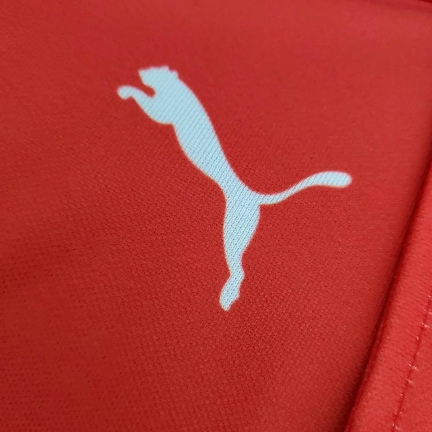 2021 Ferrari Formula One Racing Polo Zipper Shirt - Dash Racegear