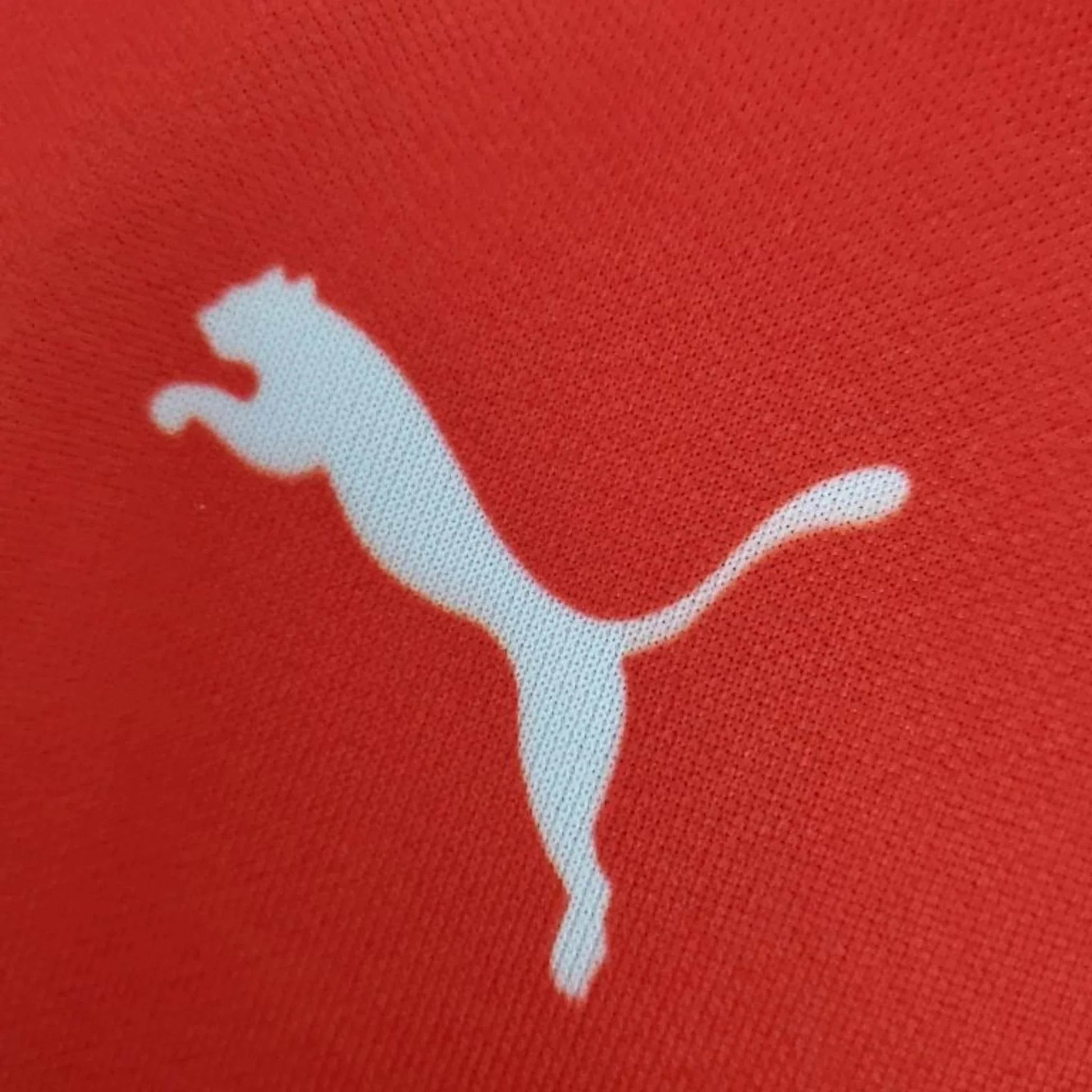 2021 Ferrari Formula One Racing T-Shirt - Dash Racegear