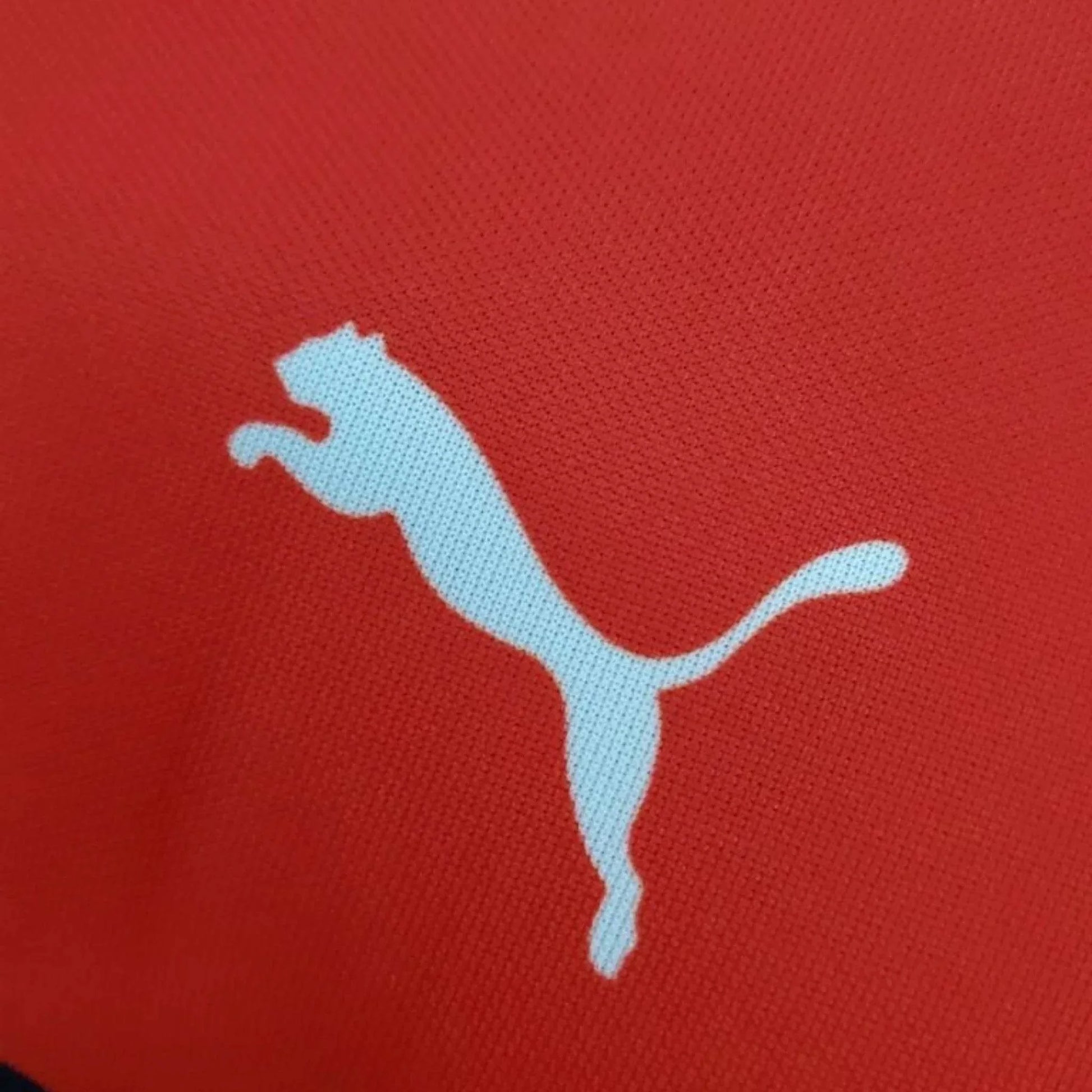 2022 New Ferrari Charles Leclecr F1 Racing T-Shirt - Dash Racegear