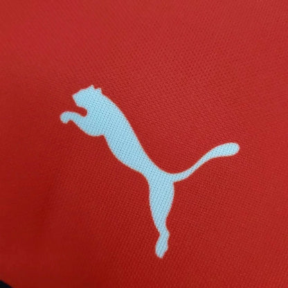 2022 New Ferrari Charles Leclecr F1 Racing T-Shirt - Dash Racegear