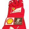 2014 Fernando Alonso gloves - Abu Dhabi GP - Dash Racewear
