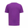 Mercedes-AMG Petronas Hamilton 2023 Sports T-Shirt - Dash Racegear