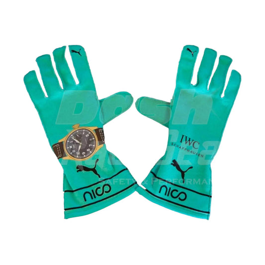 Mercedes AMG Petronas F1 Team Gloves - AbuDhai GP - Dash Racegear