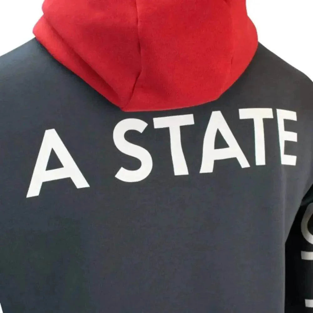 Mick Schumacher Hoodie Shirt Series 2 - Dash Racegear