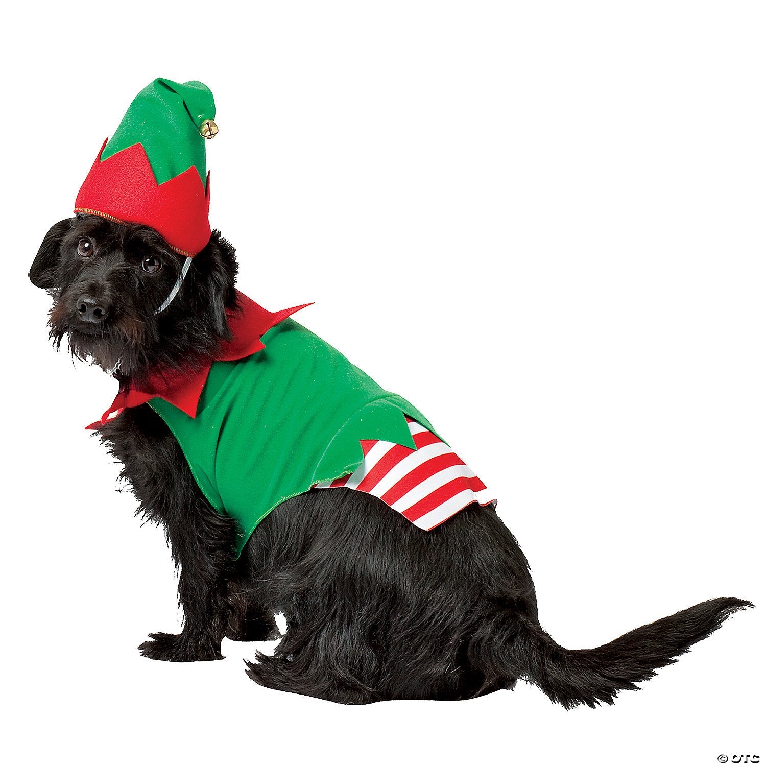elf_20pet_20costume_20extra_20small_gc5028xs.jpg